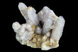 Cactus Quartz (Amethyst) Cluster - South Africa #122361-1